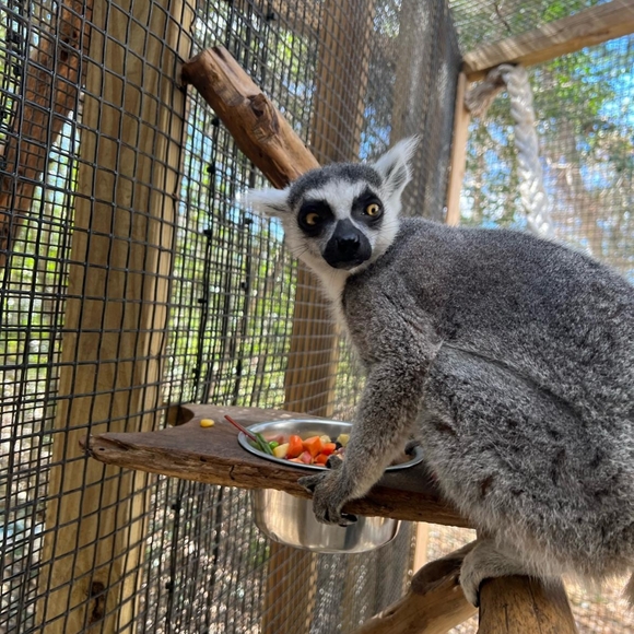 ๐ Black & Gray Large Under Armour Coldgear Zippered Windbreaker Running Jacket - Picture 15 of 16